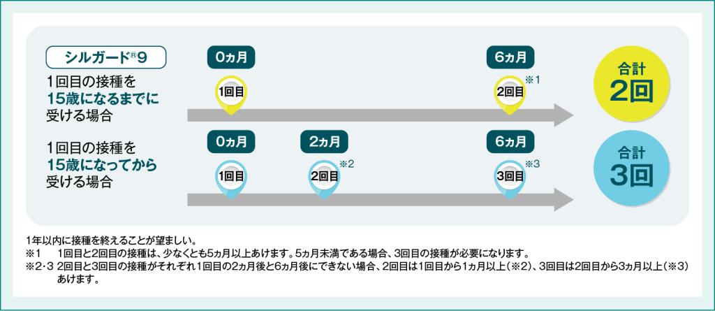図2　一般的な接種スケジュール
