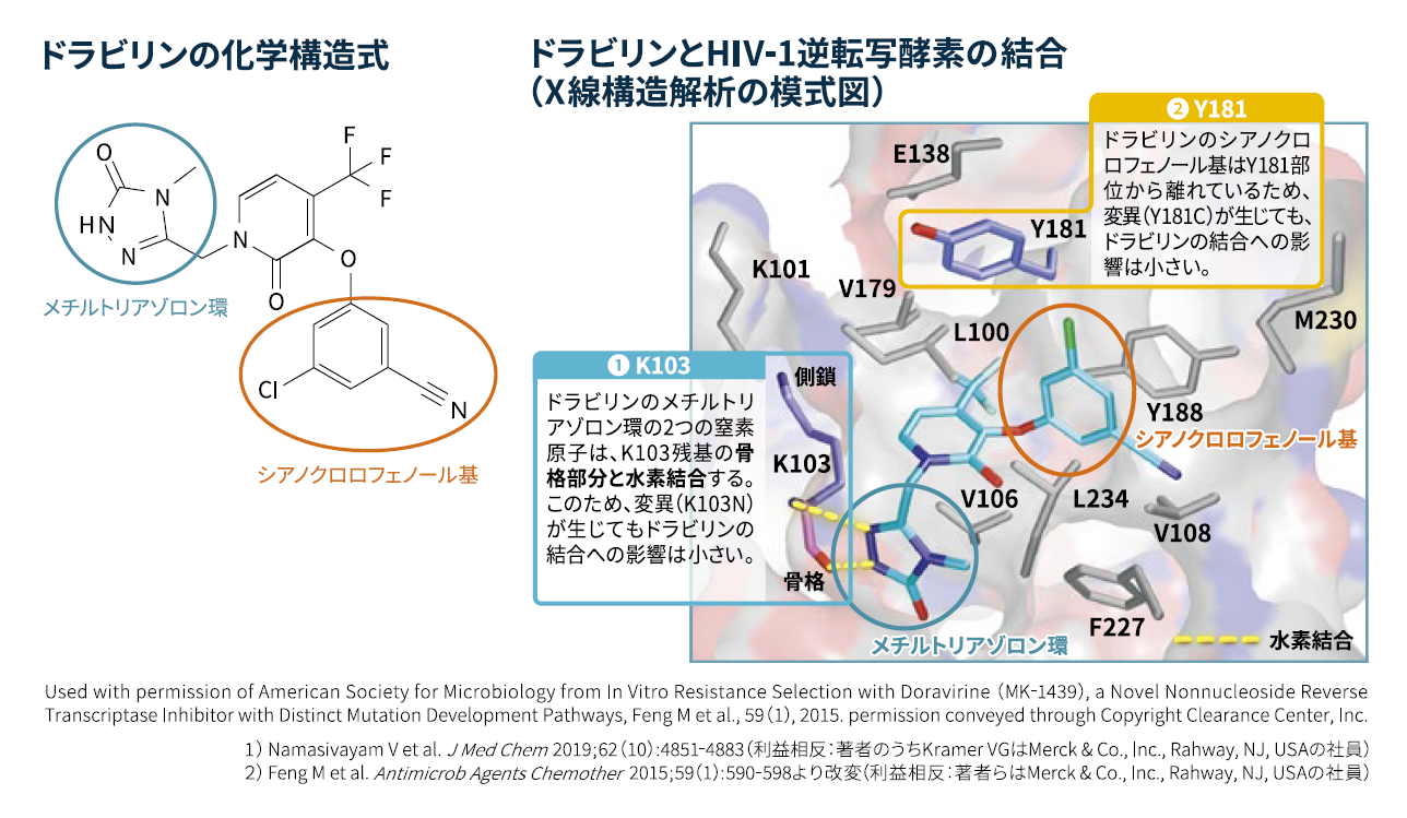 ドラビリン作用機序