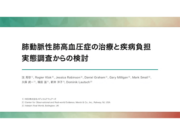 肺動脈性肺高血圧症の治療と疾病負担：実態調査からの検討
