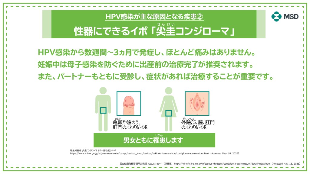 HPV感染が主な原因となる疾患②　性器にできるイボ「尖圭コンジローマ」