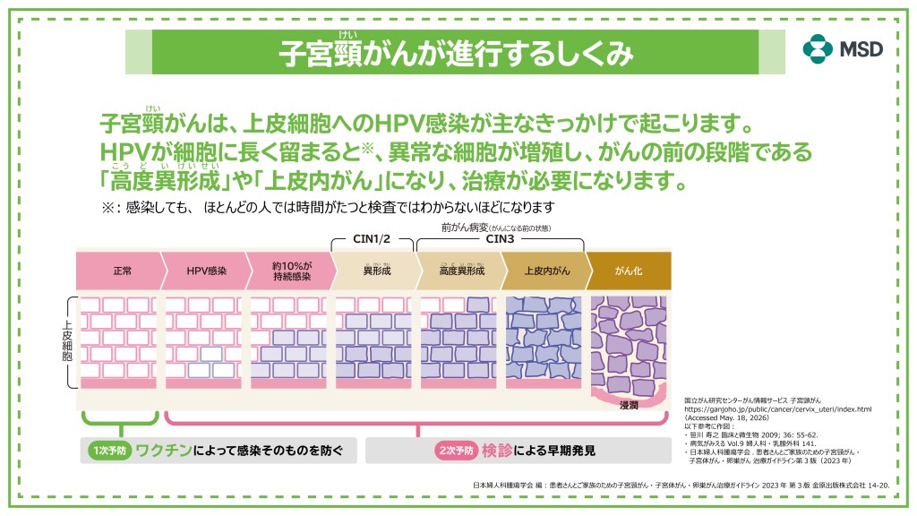 子宮頸がんが進行するしくみ