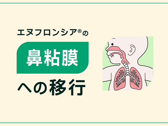 エヌフロンシア®︎の鼻粘膜への移行
