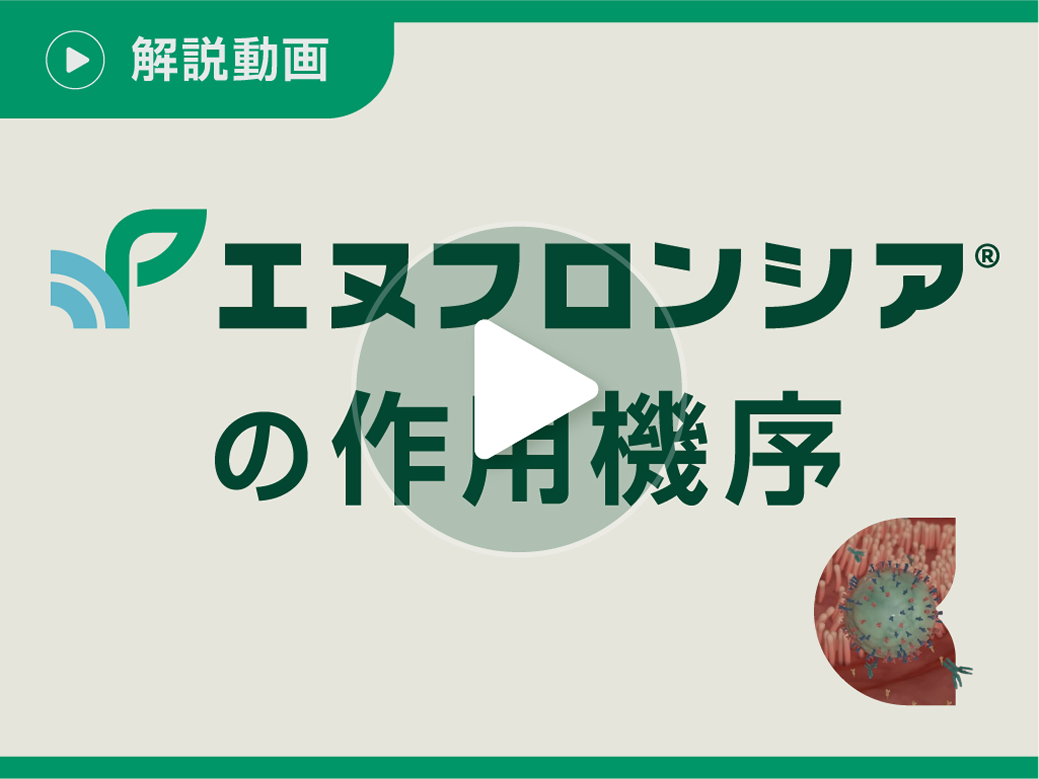 エヌフロンシア®︎の作用機序