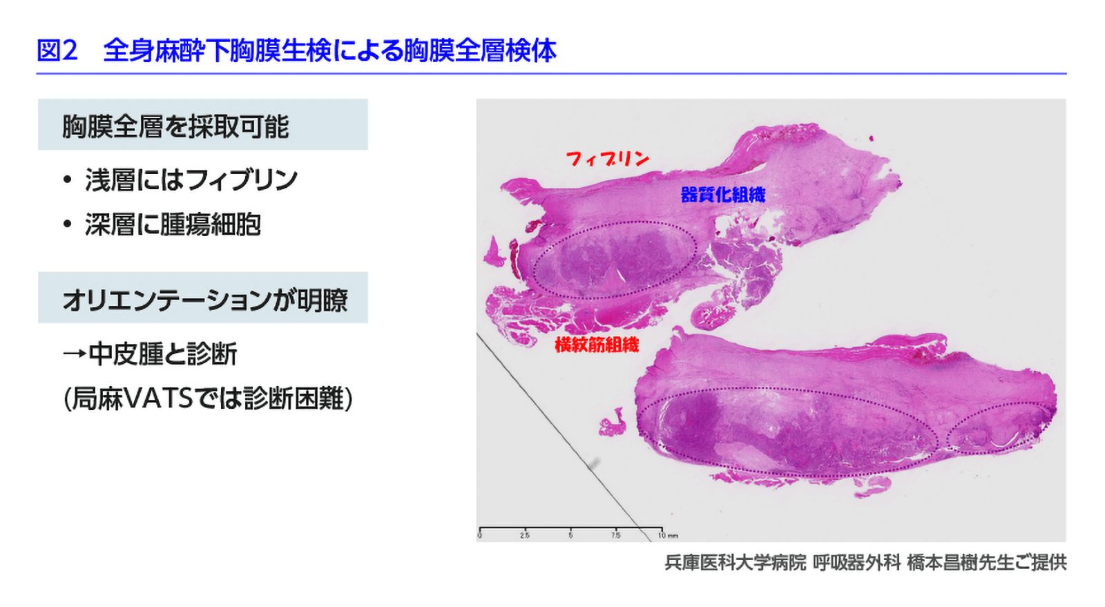 図2