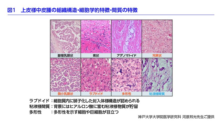 図1