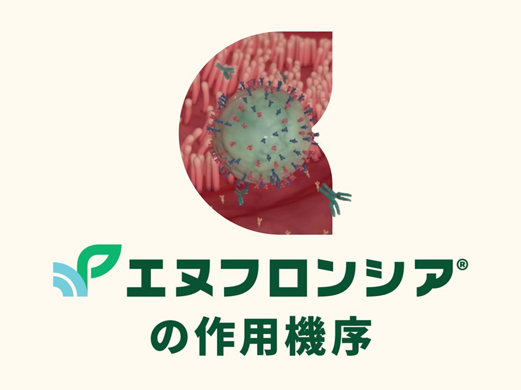 エヌフロンシア®の作用機序