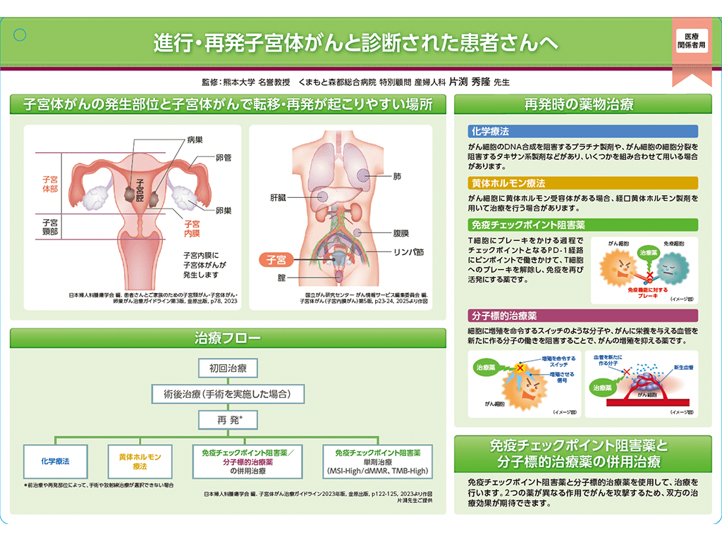 キイトルーダ®インフォームドコンセント用資料　キイトルーダ®・レンビマ®併用治療患者説明用下敷き：＜子宮体癌＞