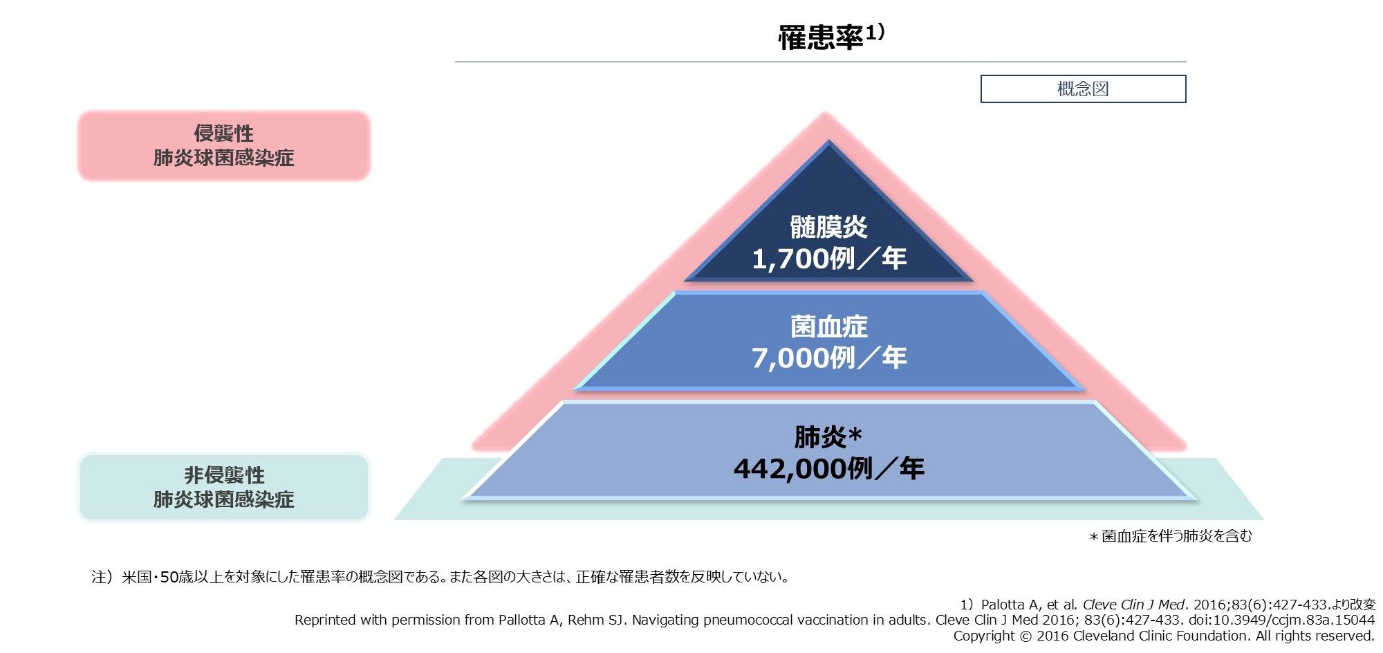 成人における肺炎球菌感染症の罹患率と致命率