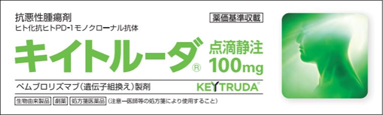 キイトルーダ小バナー