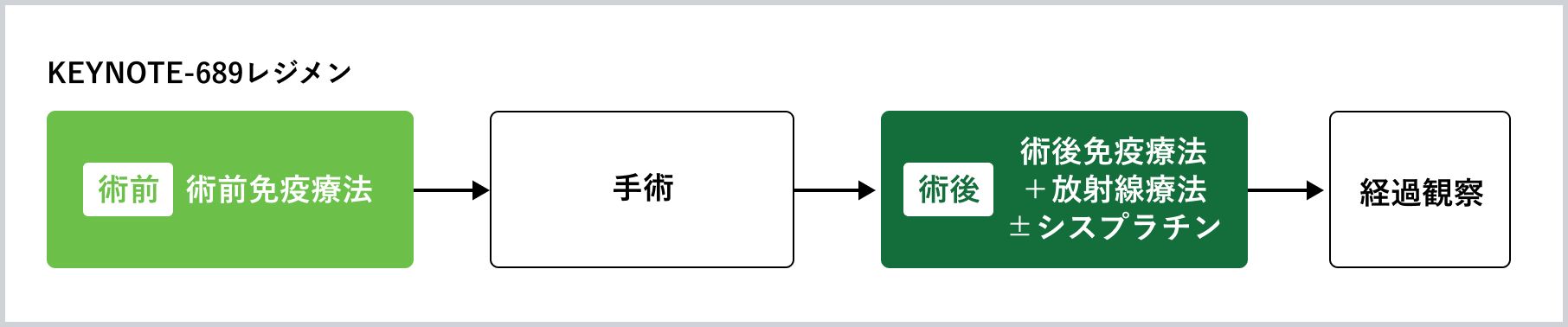 KEYNOTE-689レジメン