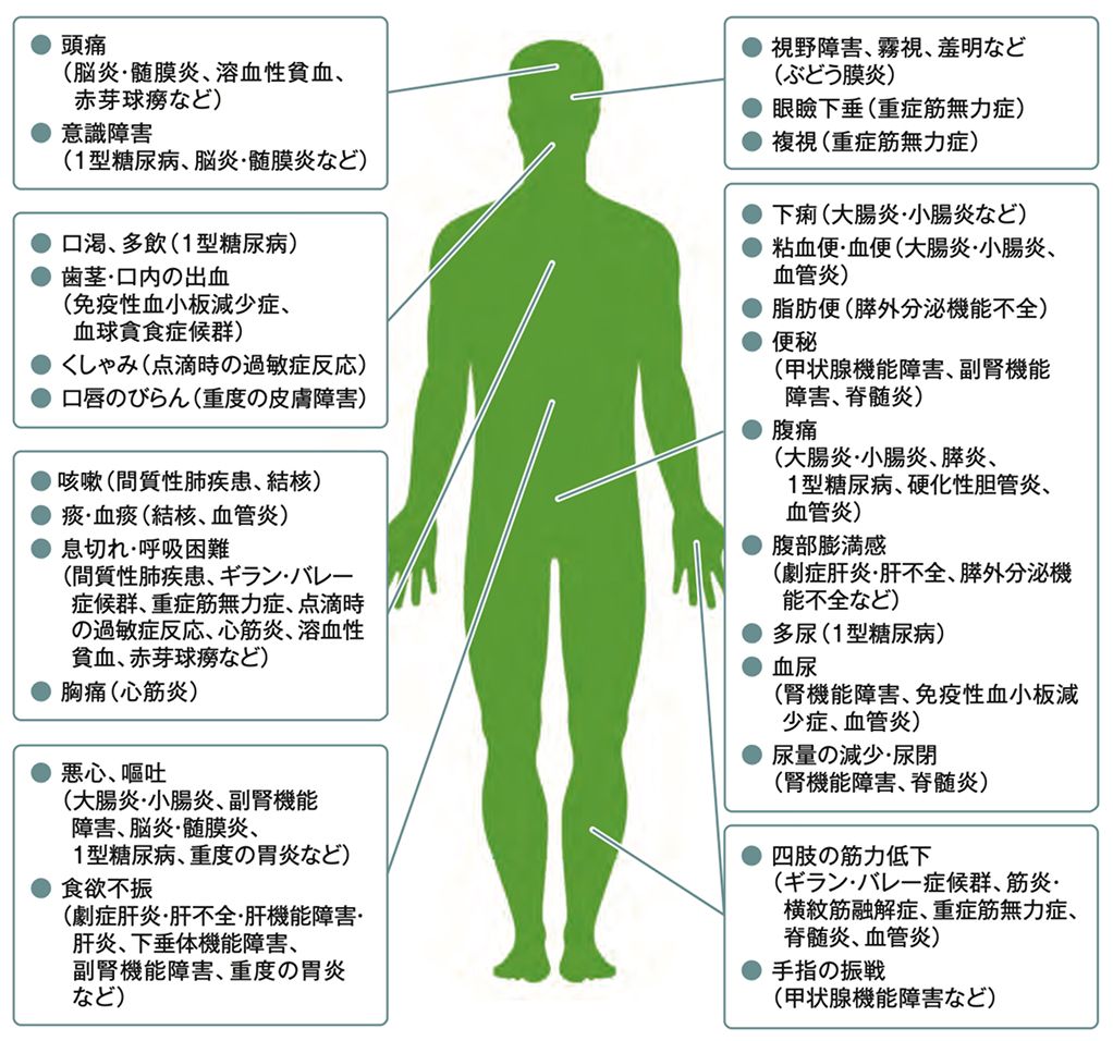 キイトルーダ®投与において注意を要する症状と免疫関連などの特に注目すべき有害事象1
