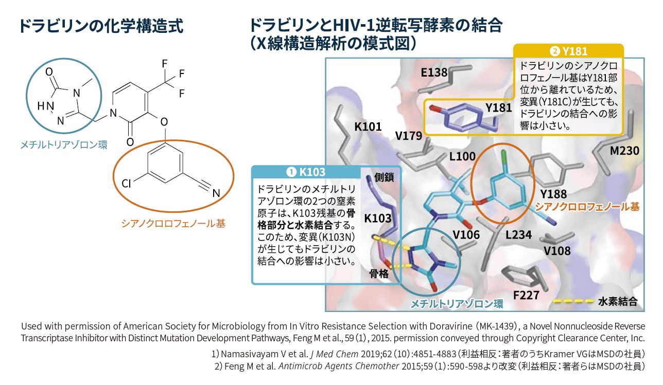 ドラビリン作用機序