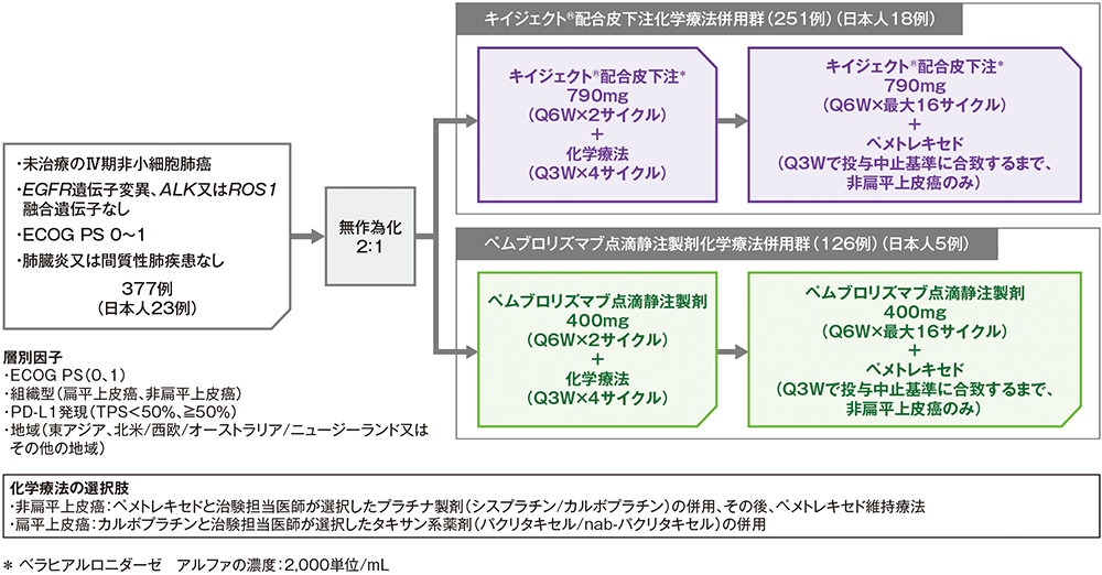 MK-3475A-D77試験デザイン