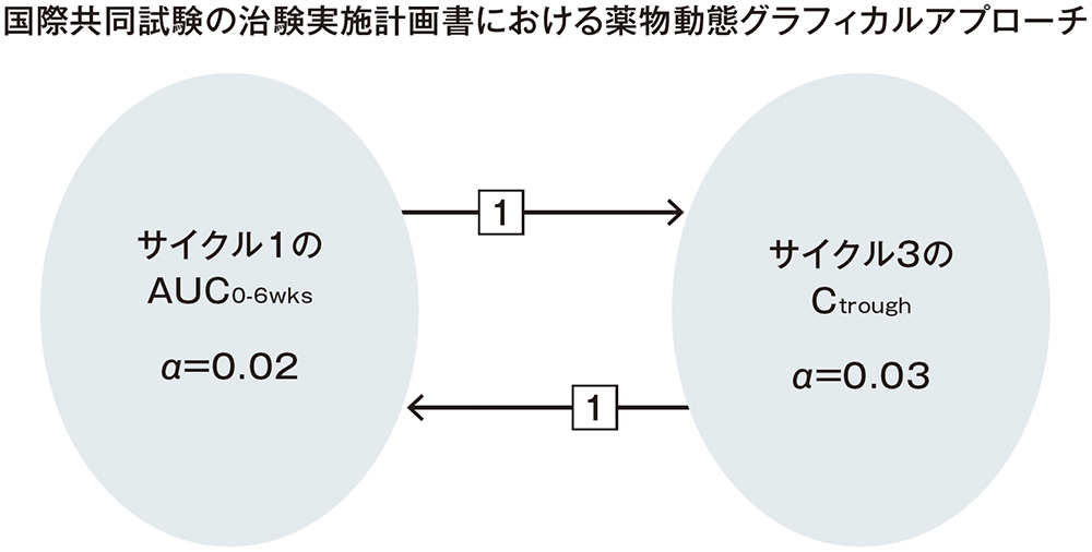 国際共同試験の治験実施計画書における薬物動態グラフィカルアプローチ