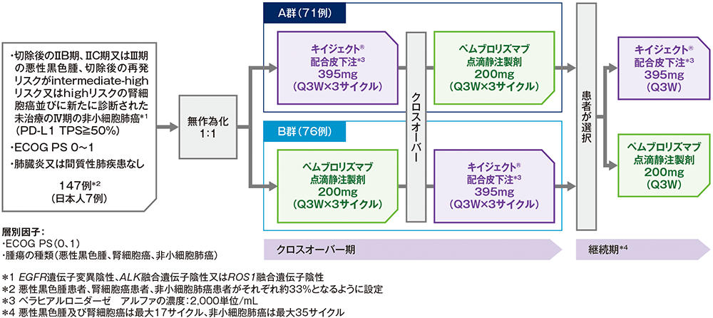 MK-3475A-F11試験デザイン